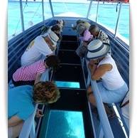 Bora BoraGlass Bottom Boat